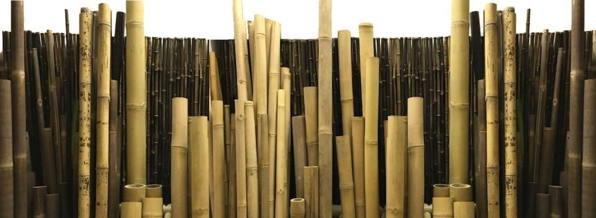 Bambusstangen und verschieden Dicke Bambusrohre aus Indonesien