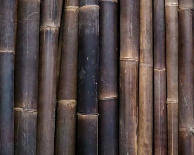 Bambusstangen aus Indonesien dunkelbraun und naturbelassen
