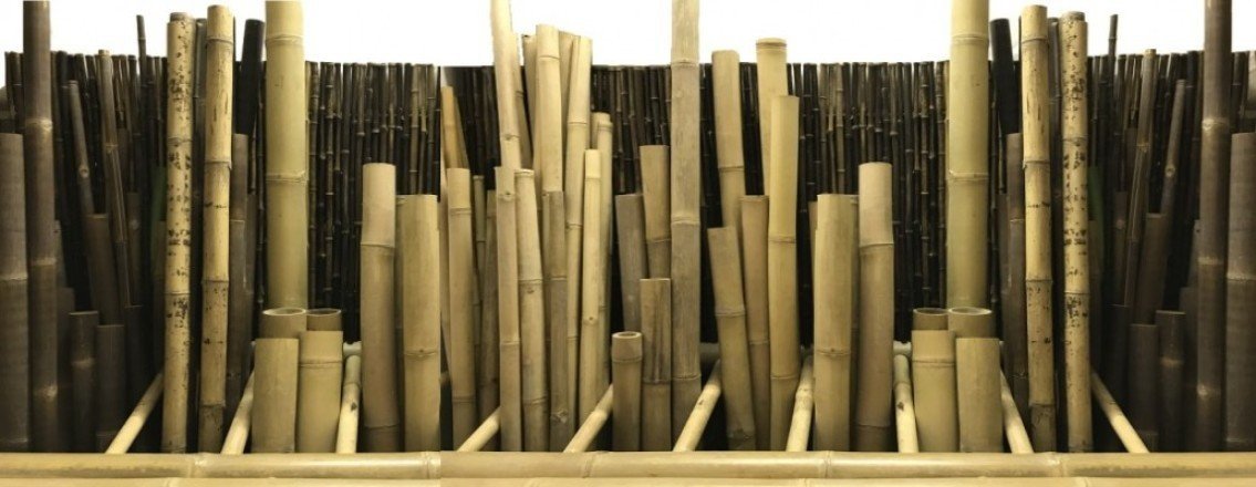 Bambusrohre und Bambusstangen aus aller Welt bei Art-Bambus