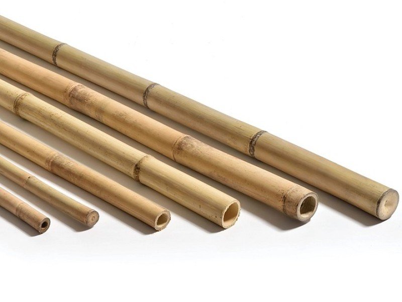 Tonkin Bambusrohre aus China kaufen bei Bambushandel Schweiz