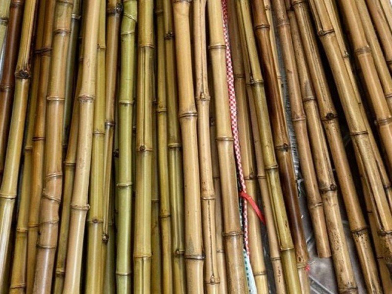 Cendani Bambusrohre aus Indonesien kaufen bei Bambushandel Schweiz