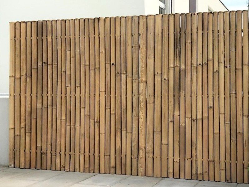 Giant Bambus Sichtschutz Balines