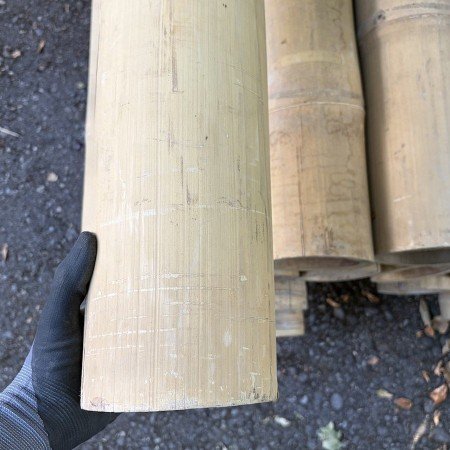 Giant Bambusrohre mit Riesen Durchmesser